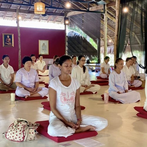 Journey to the Mind 1 day Phuket (14)