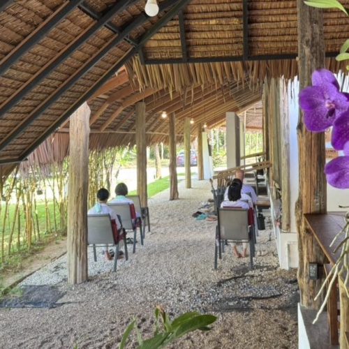 Journey to the Mind 1 day Phuket (7)