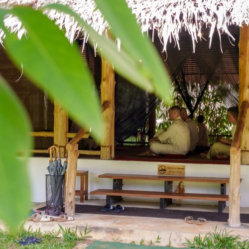 Journey to the Mind 3 day Phuket (15)